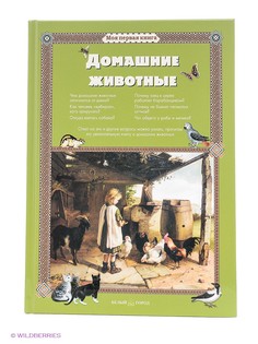 Книги Воскресный день