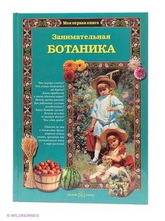 Книги Белый город