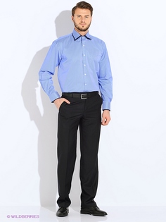 Рубашки PALMARY LEADING