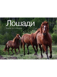 Книги Издательство КоЛибри
