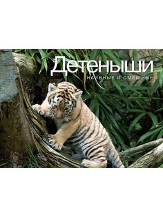 Книги Издательство КоЛибри