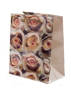 Подарочные пакеты Русские подарки