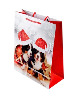 Подарочные пакеты Русские подарки