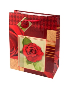 Подарочные пакеты Русские подарки