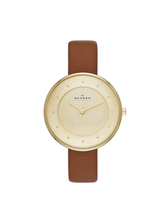 Часы SKAGEN