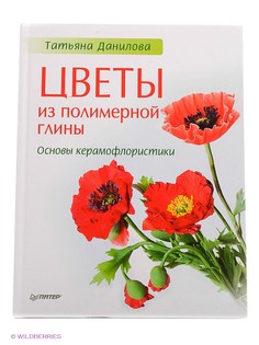 Книги ПИТЕР