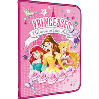 Папка для труда "Принцессы Дисней" Академия групп