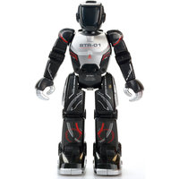 Программируемый робот "Полицейский", в ассортименте, Silverlit