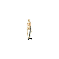 Сборная модель скелета, Edu-Toys