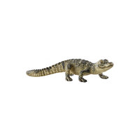 Детёныш крокодила, Schleich