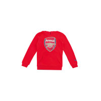 Толстовка для мальчика AFC Fan Hoody - Crest (Q3) PUMA