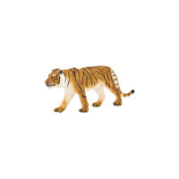 Бенгальский тигр, Mojo