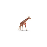 Schleich Детеныш жирафа. Серия "Дикие животные"