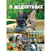 Энциклопедия "Моя большая книга о животных" Machaon