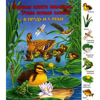 В пруду и у реки -