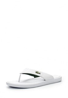 Сланцы Lacoste