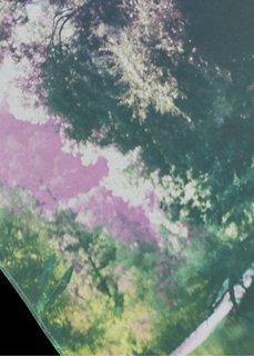 Японская штора Озеро (1 шт.), Шина с лентой велкро (зеленый/лиловый) Bonprix