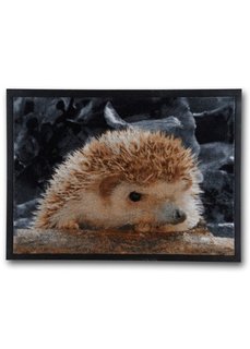 Коврик для двери Риччи (коричневый) Bonprix