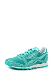 Кроссовки Reebok Classics