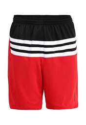 Шорты спортивные adidas Performance