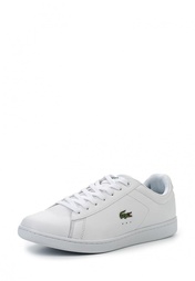 Кеды Lacoste