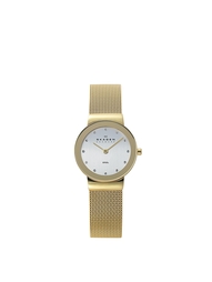 Часы SKAGEN