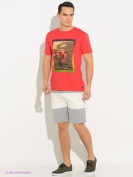 Шорты Quiksilver