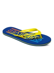 Пантолеты Quiksilver