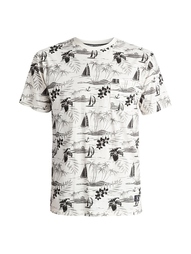 Футболка DC Shoes