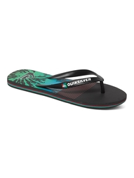 Пантолеты Quiksilver