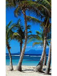 Картины ДСТ