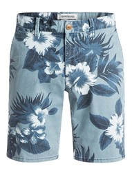 Шорты Quiksilver