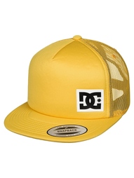 Бейсболки DC Shoes