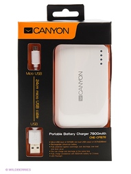 Внешнее ЗУ CANYON