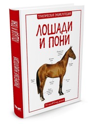 Книги Издательство Махаон