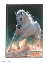 Записные книжки Канц-Эксмо