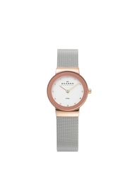 Часы SKAGEN