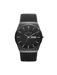 Часы SKAGEN