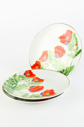 Тарелка Briswild