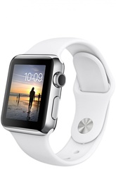 Apple Watch Stainless Steel Case with Sport Band Apple