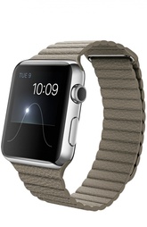 Apple Watch Stainless Steel Case with Leather Loop Apple