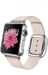 Apple Watch Stainless Steel Case with Modern Buckle Apple