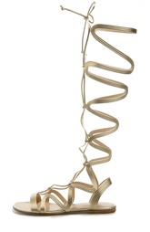 Сандалии Gianvito Rossi