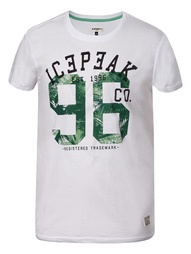 Футболка Icepeak
