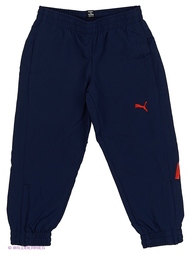 Спортивные брюки Puma