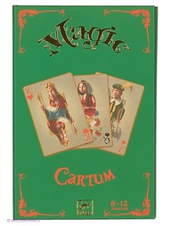 Развивающие игрушки DJECO