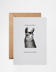 Открытка на день рождения Pigment No Cause for A LLAMA - Мульти