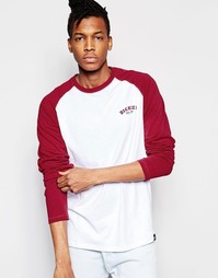 Лонгслив с рукавами реглан Dickies - Burgundy
