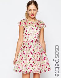 Приталенное платье с цветочной вышивкой ASOS PETITE SALON - Мульти