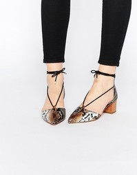 Туфли на каблуке с заостренным носком и шнуровкой ASOS OREGON - Snake